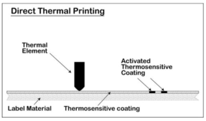 thermal dan thermal transfer